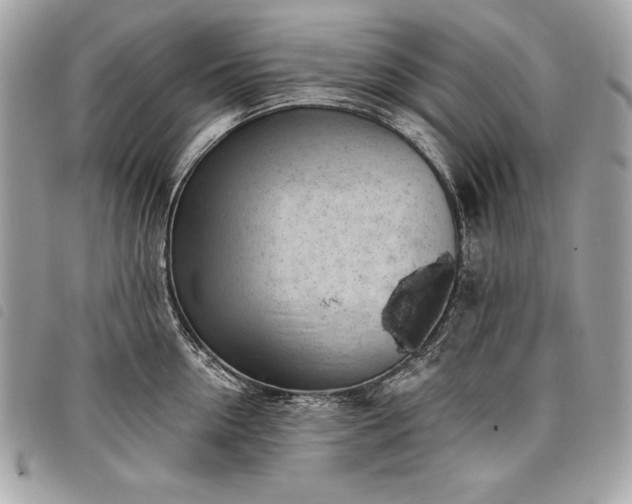 X0000098010954200804071324