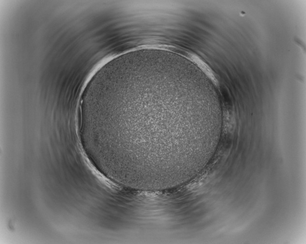 X0000098010955200804071324