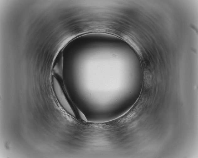 X0000098010956200804071324