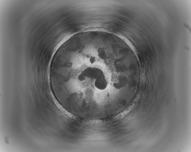 X0000098010957200804071324