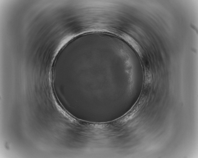 X0000098010958200804071324