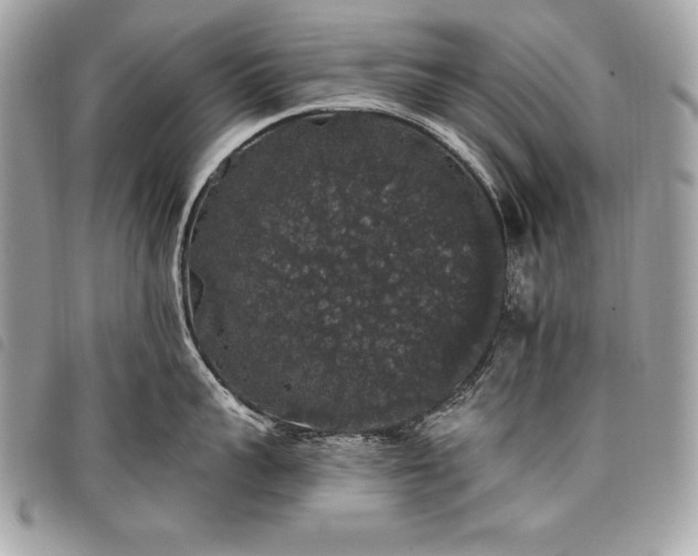 X0000098010959200804071324