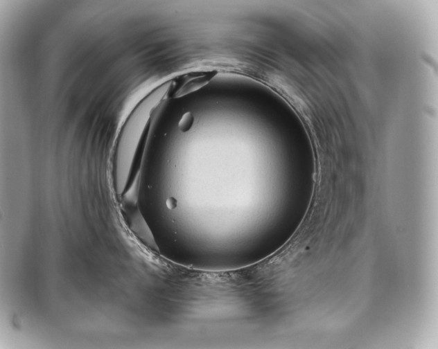 X0000098010960200804071324