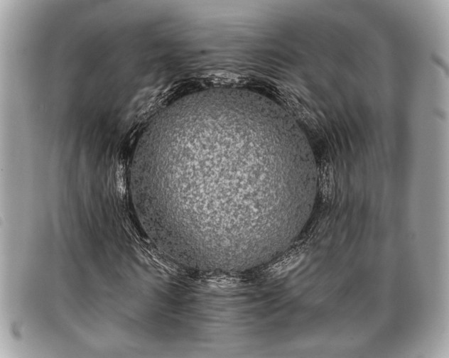 X0000098010962200804071324