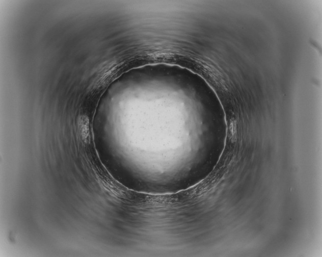 X0000098010963200804071324