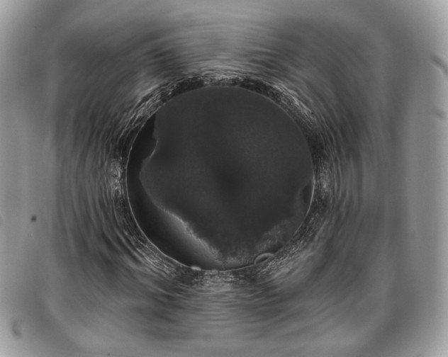 X0000098010964200804071324