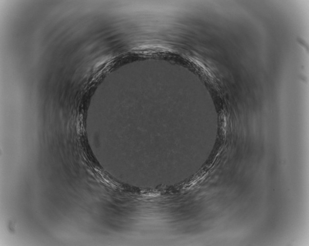 X0000098010965200804071324