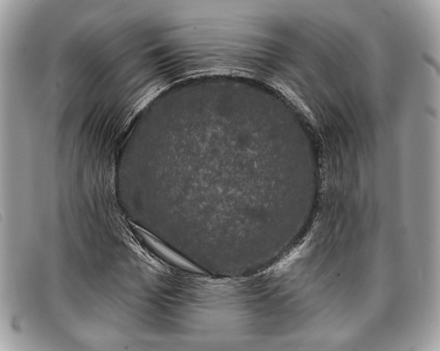 X0000098010969200804071324