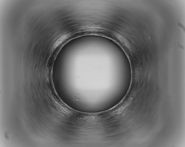 X0000098010970200804071324