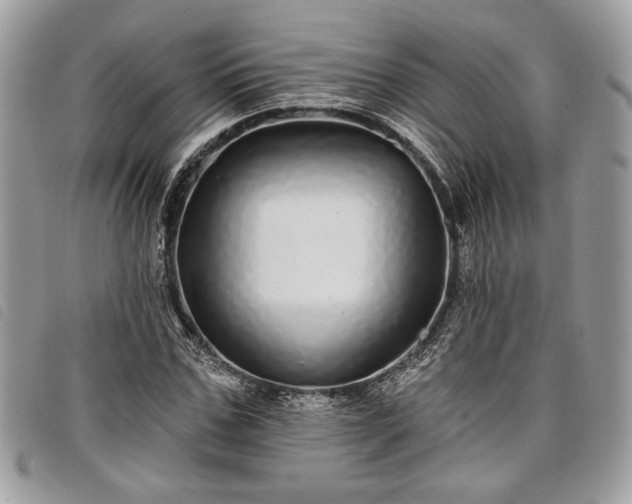 X0000098010971200804071324