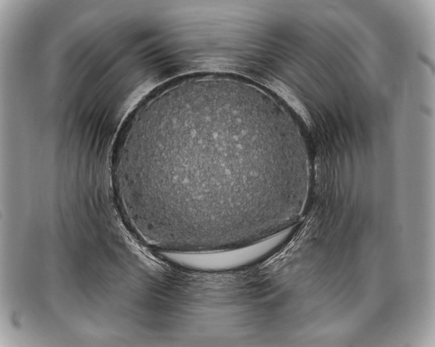 X0000098010972200804071324