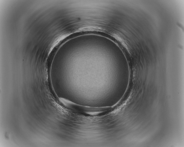 X0000098010973200804071324