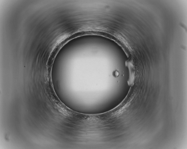 X0000098010974200804071324