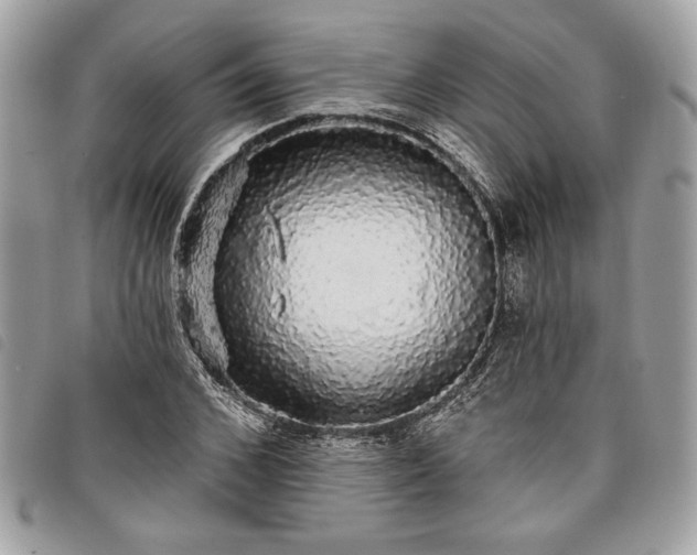 X0000098010976200804071324