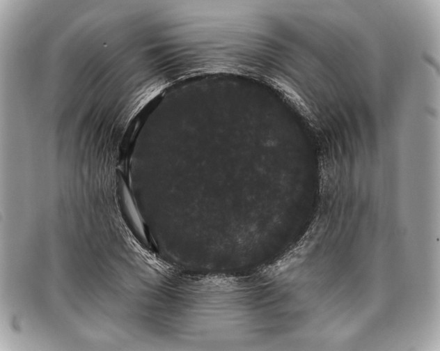 X0000098010977200804071324