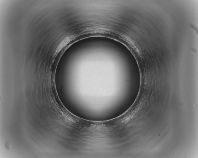 X0000098010978200804071324