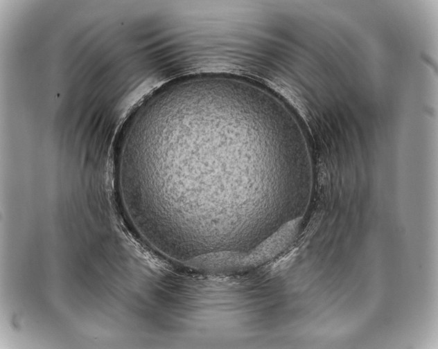 X0000098010979200804071324