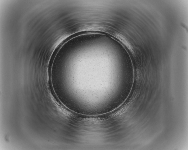 X0000098010980200804071324