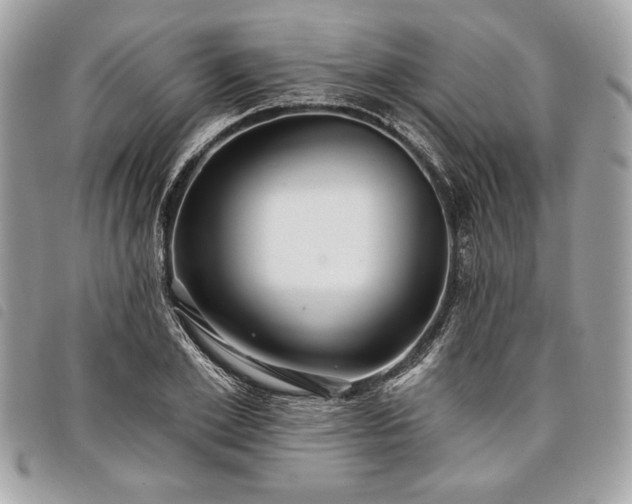 X0000098010981200804071324