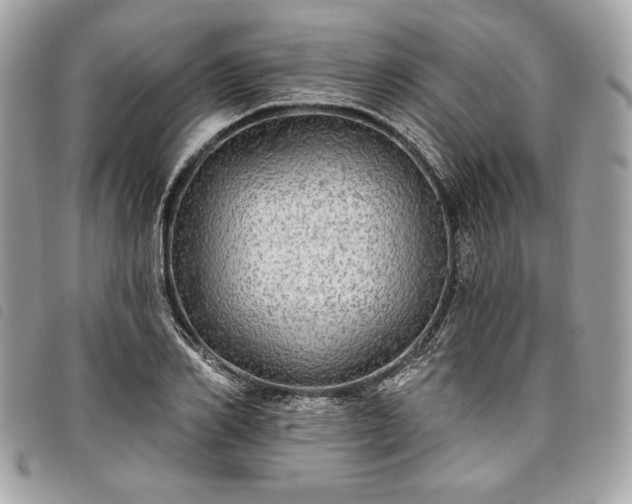 X0000098010982200804071324