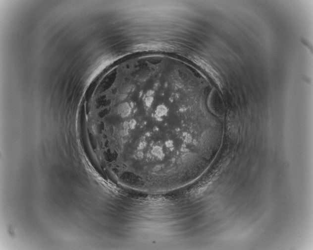 X0000098010983200804071323