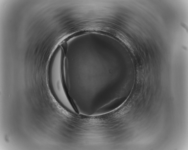 X0000098010984200804071323