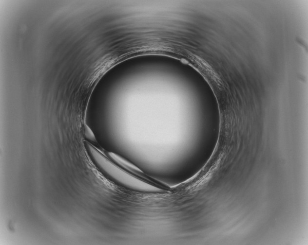 X0000098010985200804071323