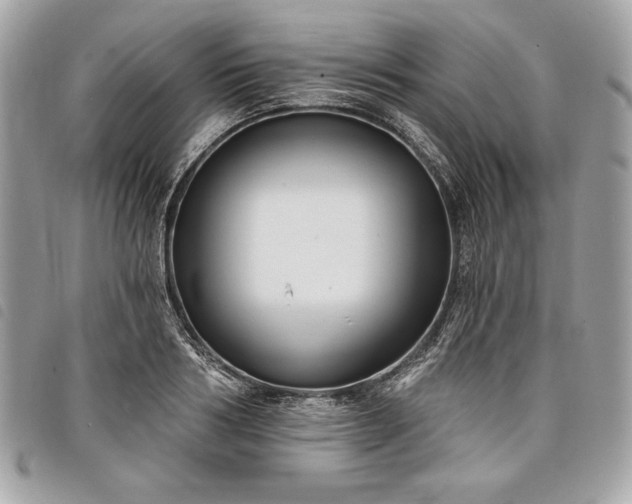 X0000098010986200804071323