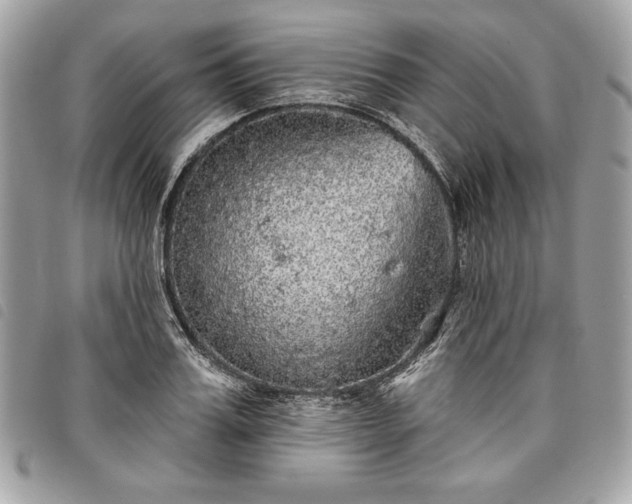 X0000098010987200804071323