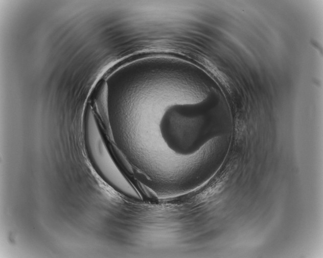 X0000098010988200804071323