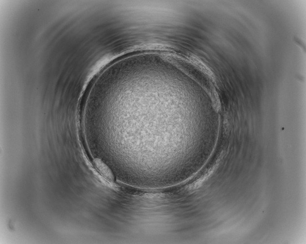 X0000098010989200804071323