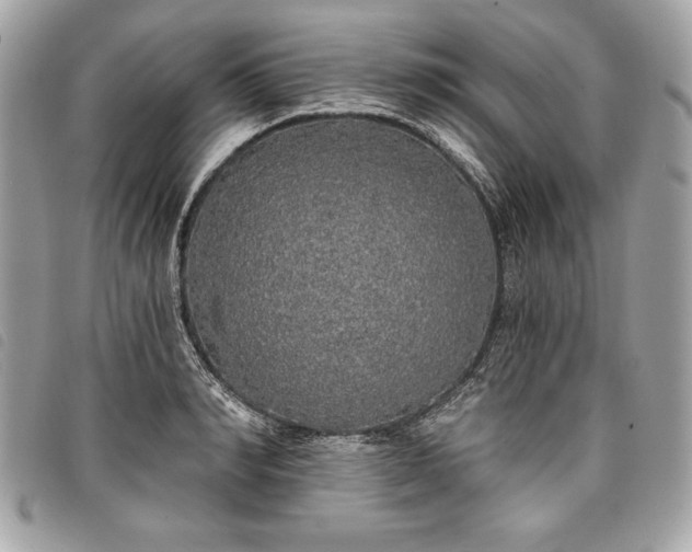 X0000098010990200804071323