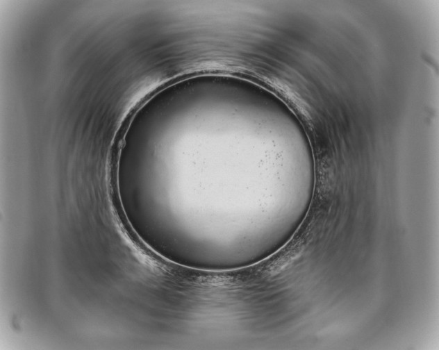 X0000098010991200804071323