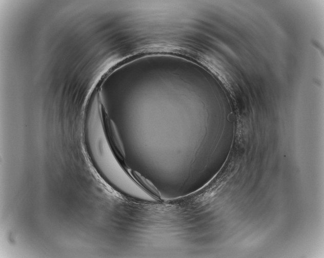 X0000098010992200804071323