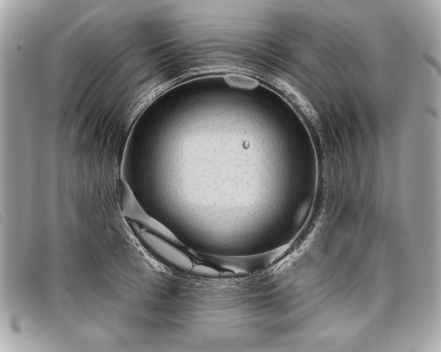 X0000098010993200804071323