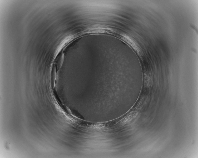 X0000098010994200804071323