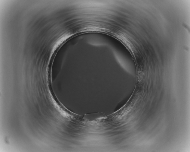 X0000098010995200804071323