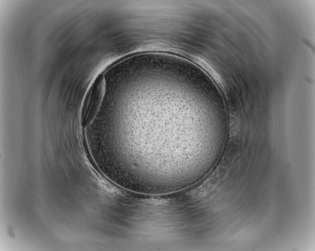 X0000098010996200804071323