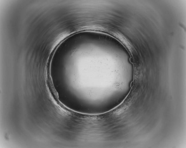 X0000098010999200804071323