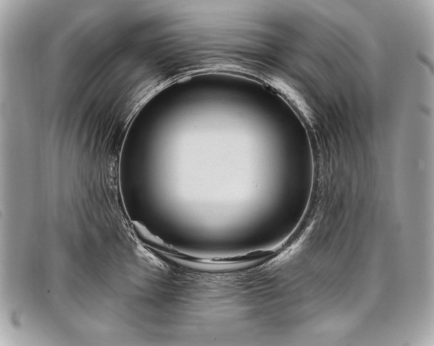 X0000098011001200804071323