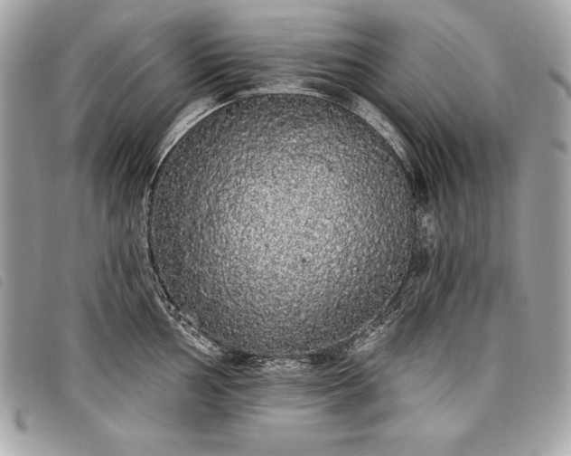 X0000098011002200804071323