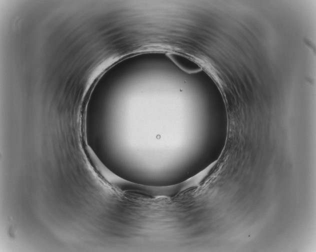 X0000098011003200804071323