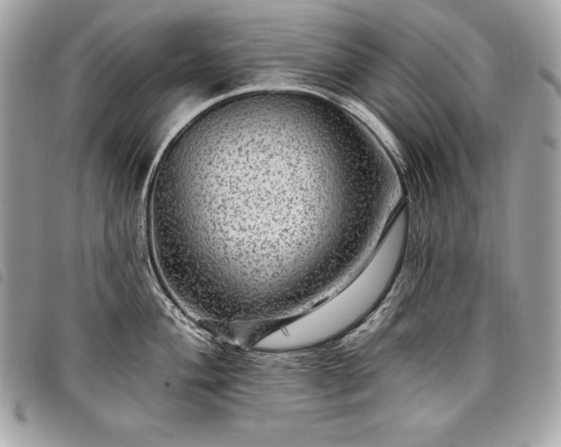 X0000098011004200804071323