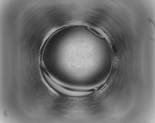 X0000098011005200804071323