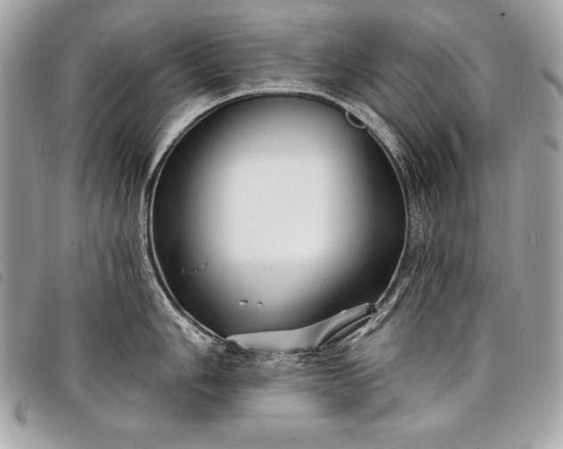 X0000098011006200804071323