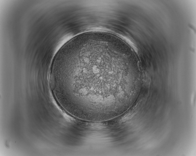 X0000098011007200804071323