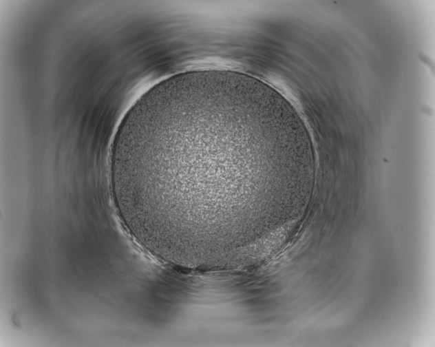 X0000098011008200804071323