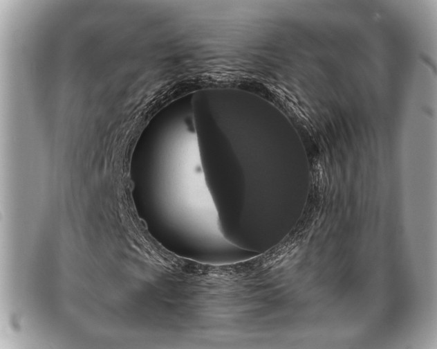 X0000098011009200804071322