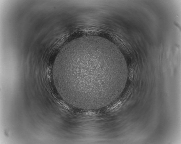 X0000098011010200804071322