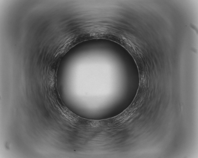 X0000098011012200804071322